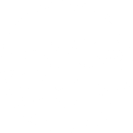 Big Tree Medical logo in white