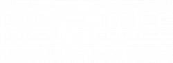 Big Tree medical full logo in white